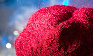 无码精品国产一区二区三区免费