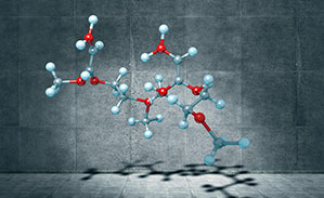 无码精品国产一区二区三区免费
