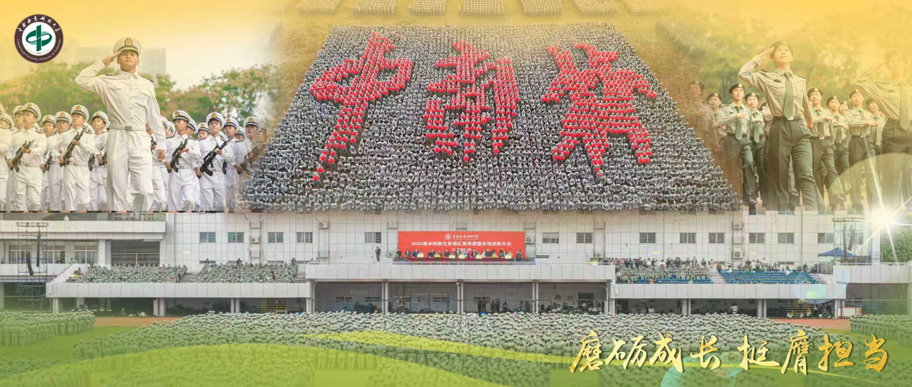 无码精品国产一区二区三区免费