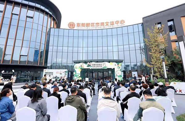 东部新区市民文体中心空调降噪工程