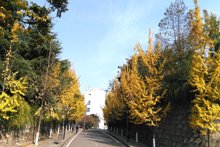 校园一角（2）