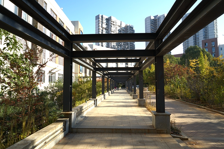 校园一角（7）