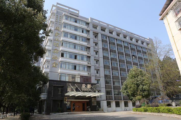求新楼